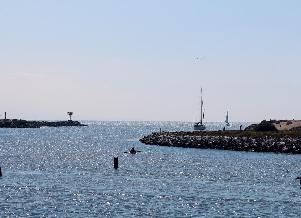 harbor
