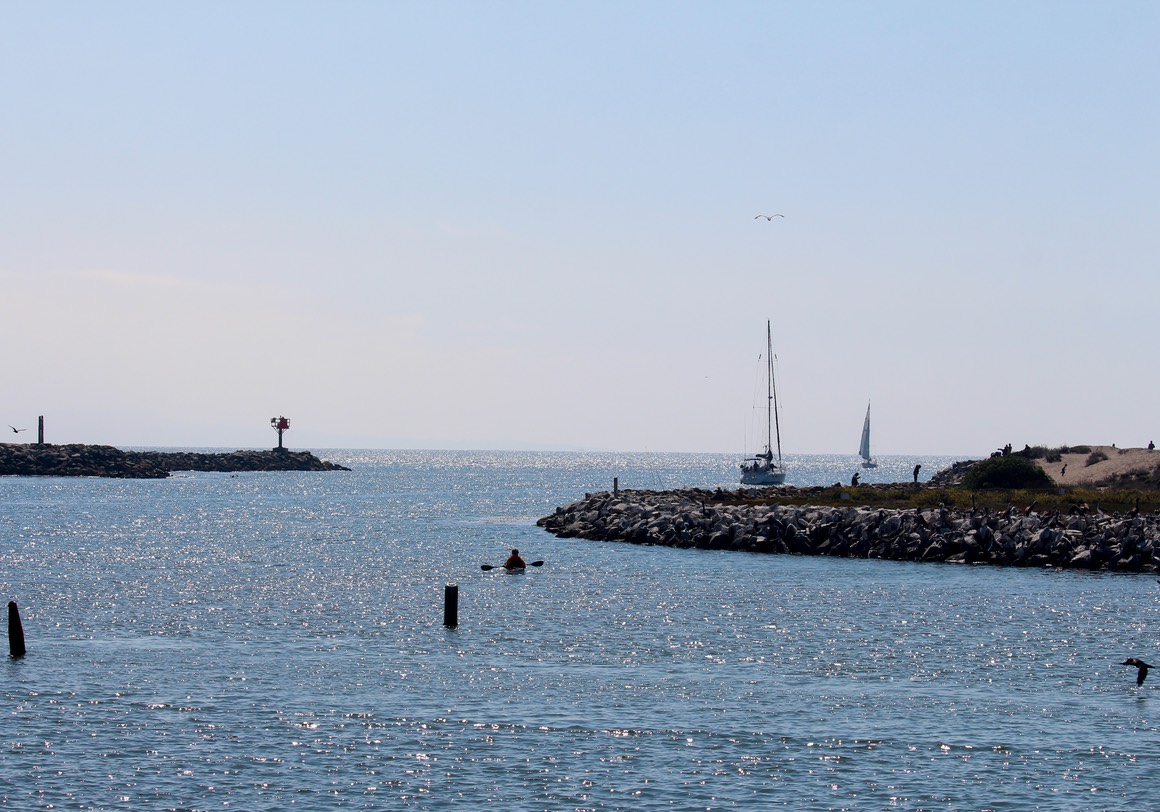 harbor