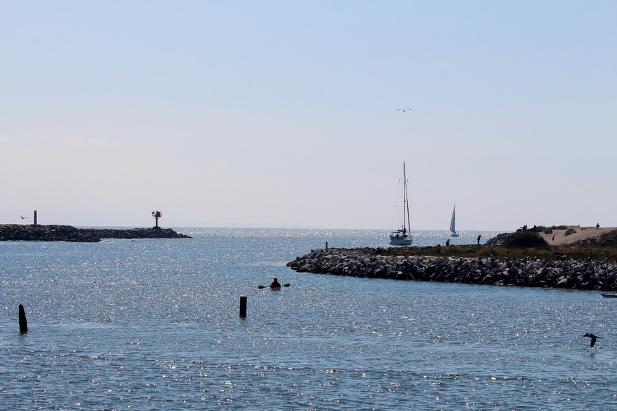 harbor