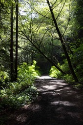 IMG_0028