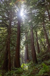 IMG_0040