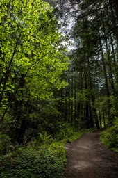 IMG_0078