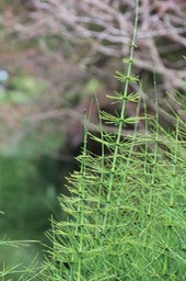 IMG_0093