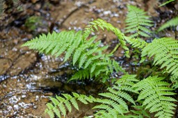 IMG_0102