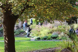 IMG_0110