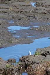 IMG_0112.jpg
