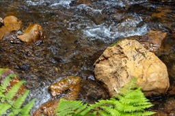 IMG_0113