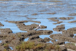 IMG_0116.jpg