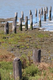 IMG_0117.jpg