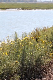 IMG_0124.jpg