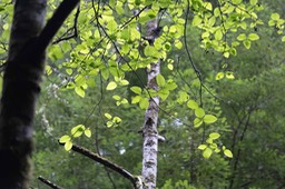 IMG_0132