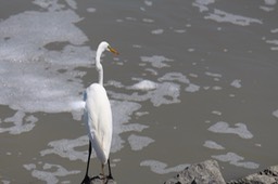 IMG_0146.jpg