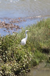 IMG_0149.jpg