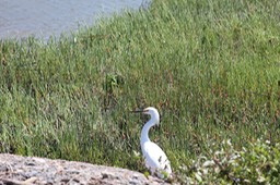 IMG_0152.jpg