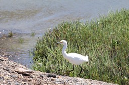 IMG_0153.jpg