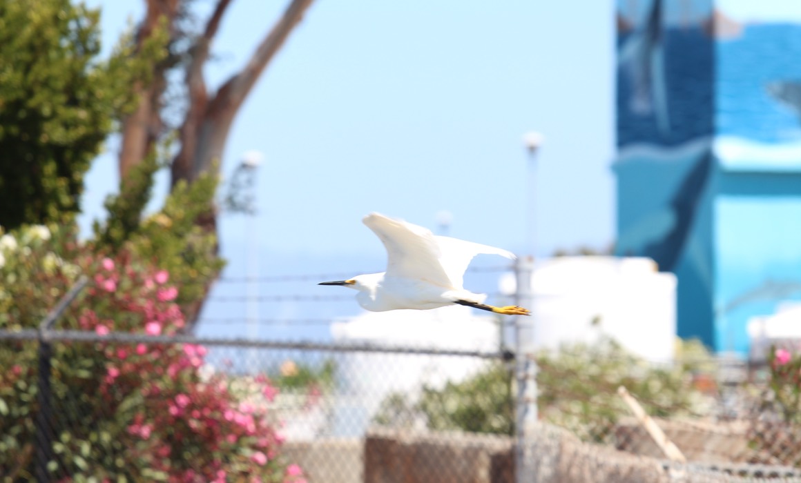 IMG_0154.jpg