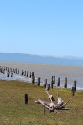 IMG_0161.jpg