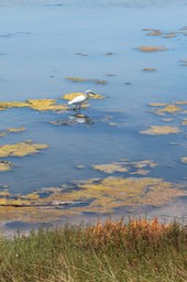 IMG_0164.jpg