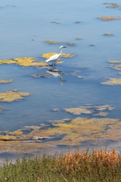 IMG_0165.jpg