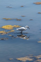 IMG_0166.jpg
