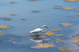 IMG_0167.jpg