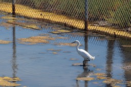 IMG_0168.jpg
