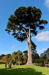 IMG 0173