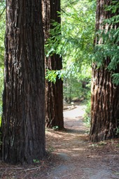 IMG_0177