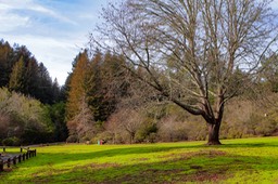 IMG_0179