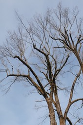 IMG_0193