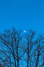 IMG_0224