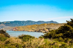 IMG_1418
