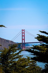 IMG_1525