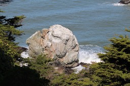 IMG_1526