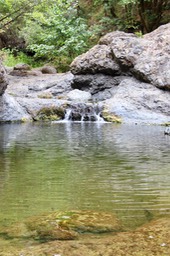 IMG_1540