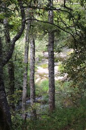 IMG_1566