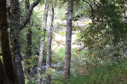 IMG_1567