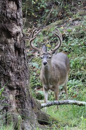 IMG_1666