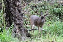 IMG_1684