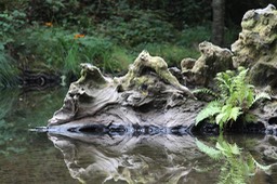 IMG_1715