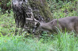 IMG_1744