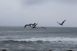 IMG_1747