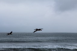 IMG_1749