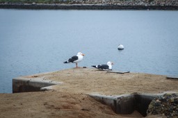 IMG_1758