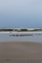 IMG_1761