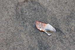 IMG_1763