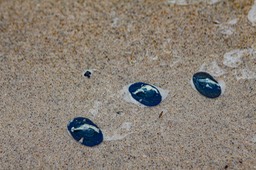 IMG_1773