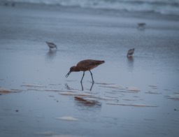 IMG_1793