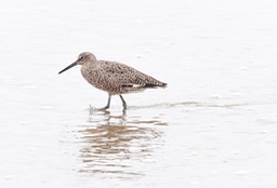 IMG_1805