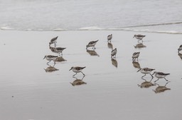 IMG_1814